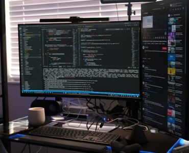 Software Developer
